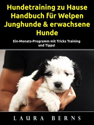 cover image of Hundetraining zu Hause